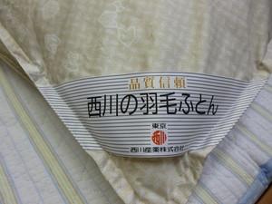 P1010027