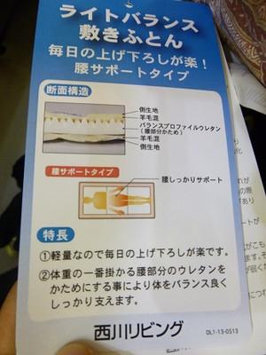 P1010030