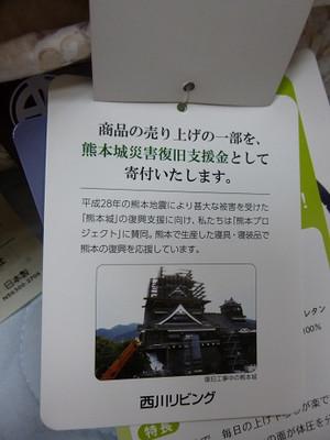 P1010605